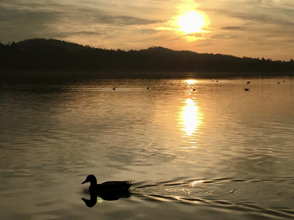 Lago di Varese