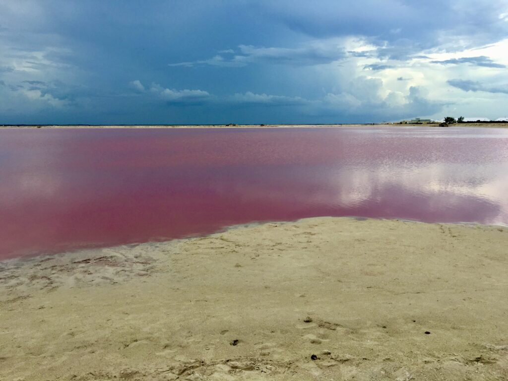 Il lago rosa